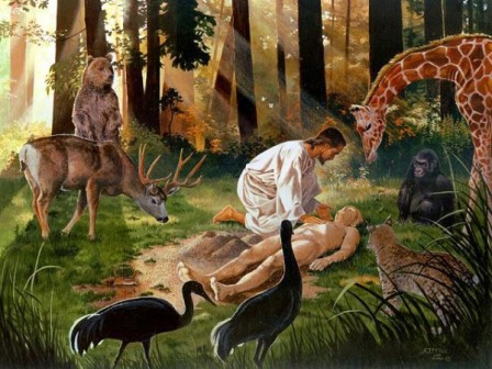 Devocional: Dios me hizo