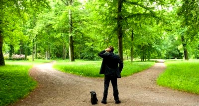 Libres de escoger la libertad