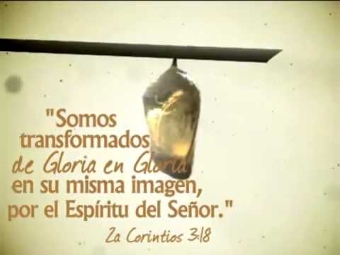 Una nueva persona en Cristo