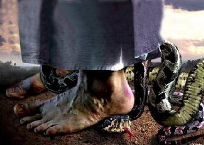 Devocional: La primer promesa