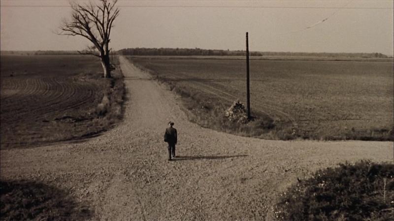 Discernimiento entre la verdad y el error