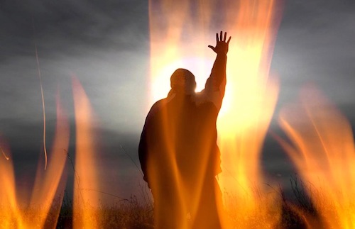 Devocional: Un sacrificio vivo