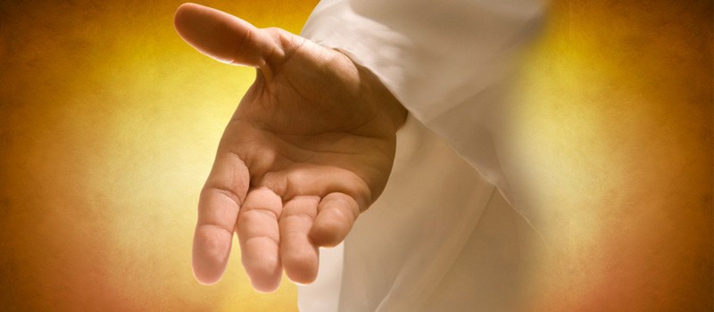 Devocional: Las percepciones y las emociones