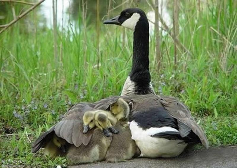 Devocional: Lo que hace Dios