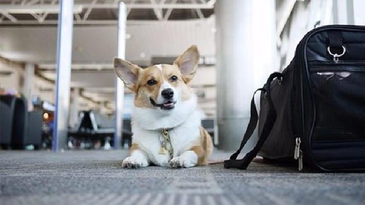 Devocional: Esperando en Dios