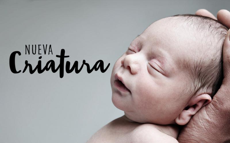 Devocional: Evaluando tu pasado