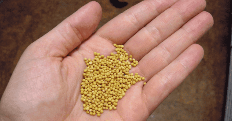 Devocional: Creyendo en la autoridad de Cristo