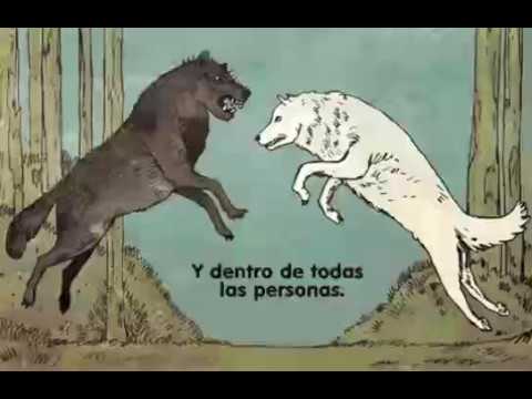 Devocional: Nuestra transferencia