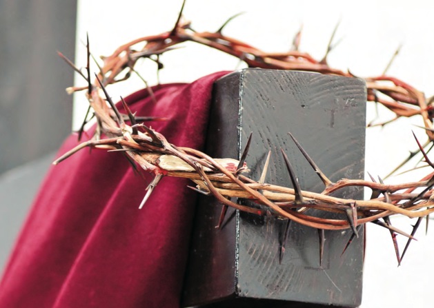 Devocional: ¿Quién hizo la corona?