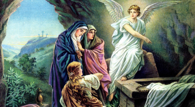 Devocional: ¡No tengan miedo!