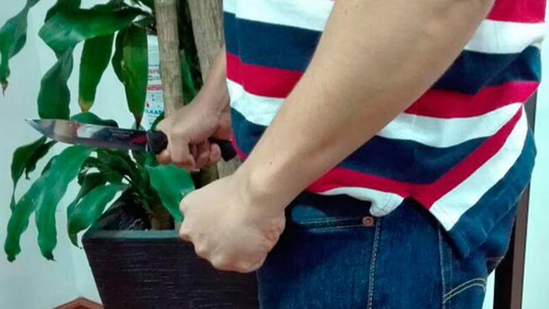 Padre es asesinado por su propio hijo luego de ser reprendido por patear una Biblia