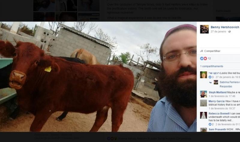 Rabino se emociona al ver ‘vaca roja’, que podría ser utilizado en Tercer Templo