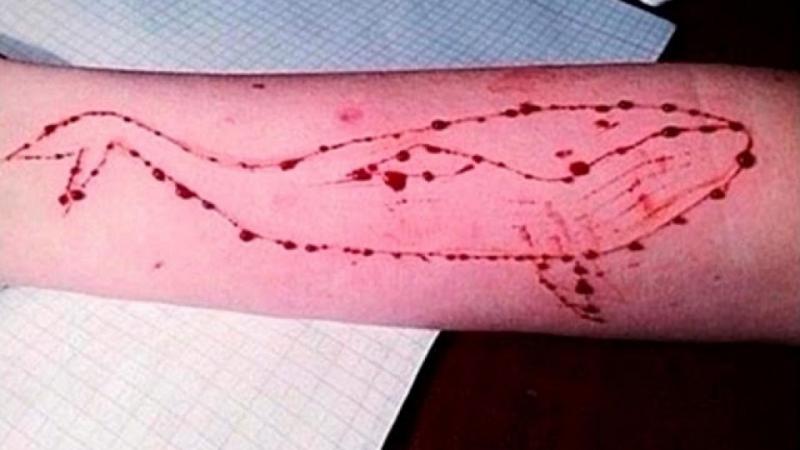 Teólogo advierte del juego diabólico “Ballena Azul” que estimula el suicidio