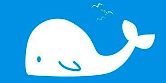 Joven cristiano crea “Ballena Blanca” para combatir “Ballena Azul”