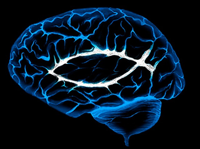 Estudio apunta que una región del cerebro está ligada a la religiosidad