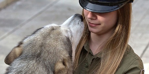 El tribunal supremo de Canadá autoriza las relaciones sexuales con animales