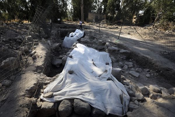 Hallan villa donde se cree que Jesús hizo multiplicación de panes y peces