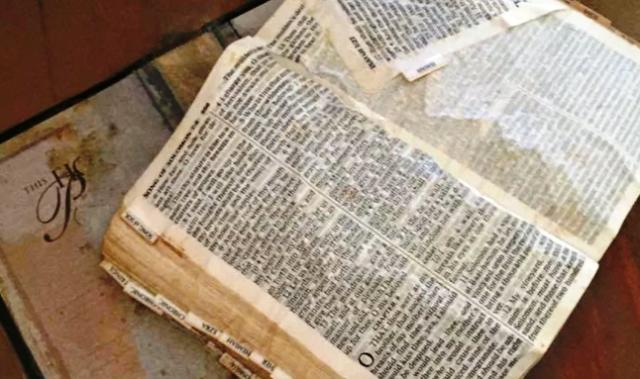 Mujer impactada por el mensaje de una Biblia que encontró tras inundaciones por huracán Harvey