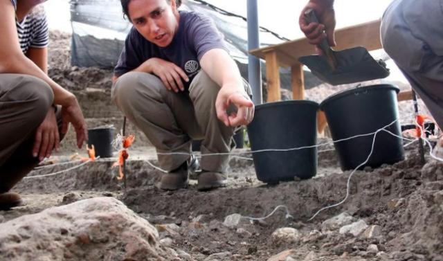 “Paraíso prehistórico” del tiempo de Moisés descubierto en Israel