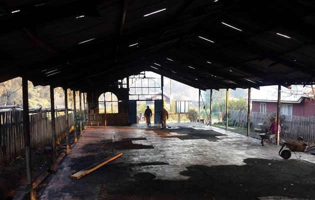 En apenas un mes, ocho iglesias fueron atacadas en Chile