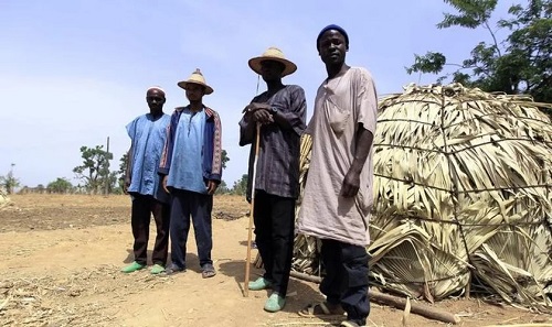 Miles de musulmanes fulani se entregan a Cristo