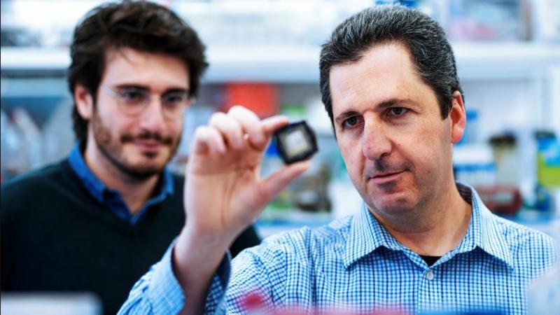 Científicos israelíes identifican medicamentos que puedan degradar COVID-19