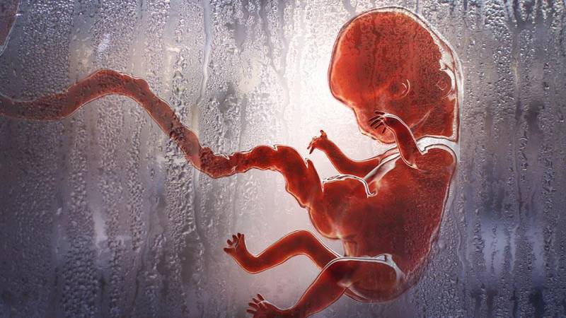 Honduras: Congreso ratifica prohibición a aborto y bodas gay