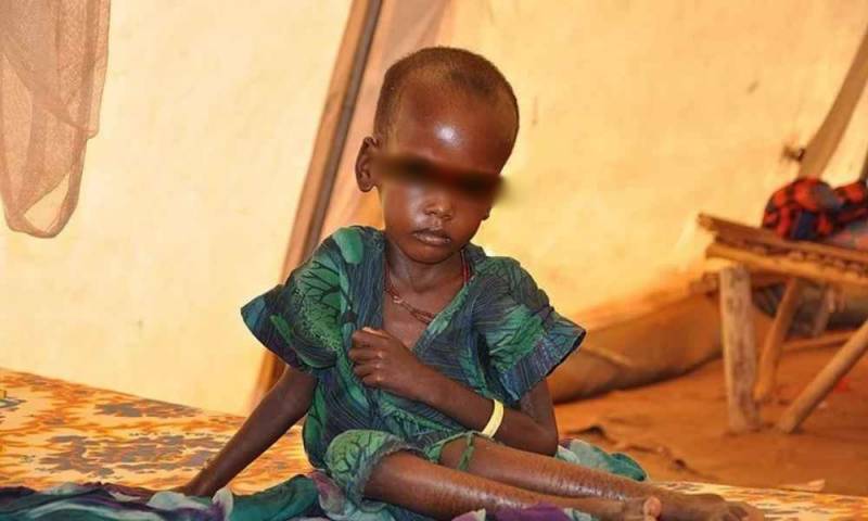 Iglesia pide ayuda para alimentar a personas y animales en Etiopía