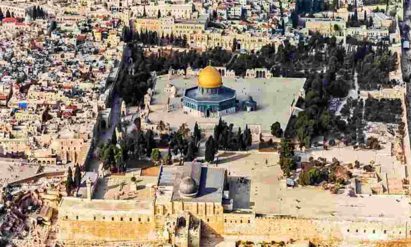 Judíos fabrican un tinte único que utilizarían en el Tercer Templo