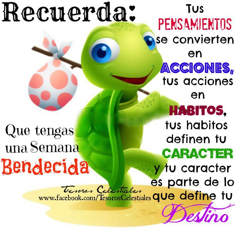 Recuerda, y reflexiona en esta semana