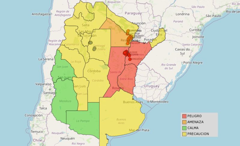 Nube de langostas invade Argentina y podría llegar a Brasil